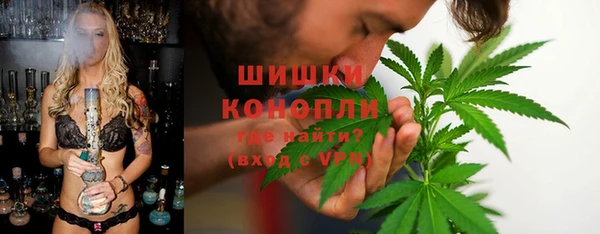 стаф Балахна