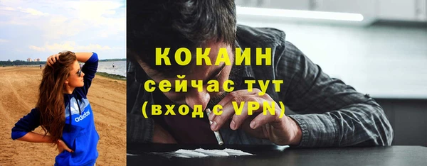 стаф Балахна