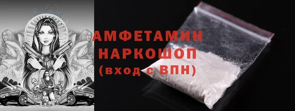 стаф Балахна