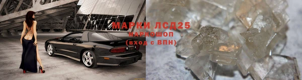 стаф Балахна