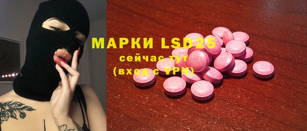 spice Тайга