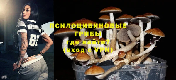 spice Тайга